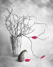 Indifference / ***
