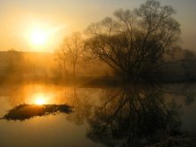 Reflexionen / ***