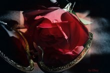 MIRROR OF LOVE ... / ***