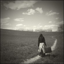 home .. / ***
