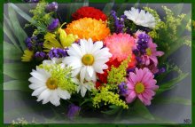 Flowers / ***