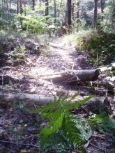 solar path / ***