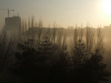Wall golden mist / ***