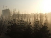 Wall golden mist / ***
