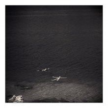 Floats / ***