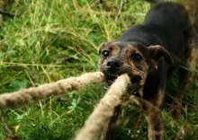 pull-pull ... / ***