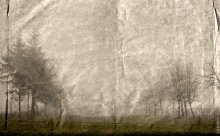 crumpled morning / ***