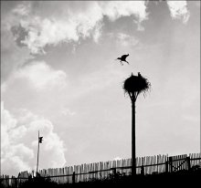 Return / ***