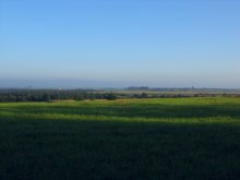 untitled landscape / ***
