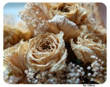 Hochzeit ROSES ......... ein Jahr später! / ***