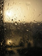 Rain at dawn / ***