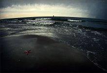 Adriatic Sea / ***