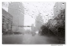 36 * rain, BW option / ***
