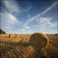 the smell of hay / ***