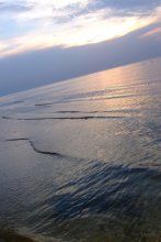 Sea / ***