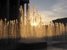beer fountain / ***