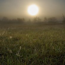 Barefoot in the dew / ***