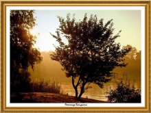 Morgen / ***