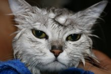 My revenge will be terrible .. / ***