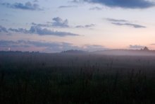 Sunrises and sunsets in the fog / ***