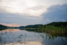 Forest Lake. Bolduk / ***