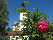 South Bohemia / ***