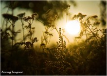 Sag hallo zu der Sonne / ***