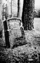 last refuge / ***