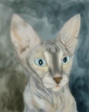 My cat / ***
