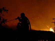 fire / ***