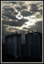 City of Angels / ***