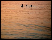 Evening swim / ***
