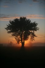 rasvet / ***