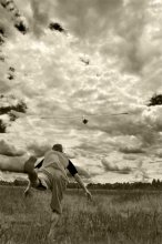 striving toward the clouds / ***