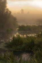 About the mill, bog and dawn / ***