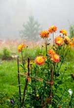 Hello Autumn / ***