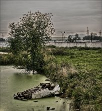 Ichthyander / ***