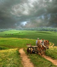 Among the hills / ***