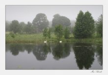 Morning freshness / ***