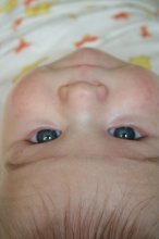 Upside down .. / ***