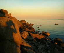 the shadows and evening light / ***