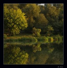 Silence / ***