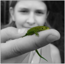 Reptil / ***