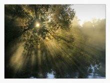 Guten Morgen / ***
