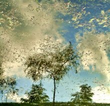 Parallel World / ***