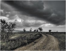 Road in Autumn / ***