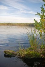 Forest Lake / ***