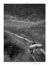 long way home / Volkovysk, summer, 07
