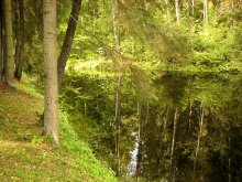 Mikhailovskoye / ***