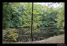 Autumn colors / ***
